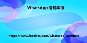 WhatsApp 号码数据