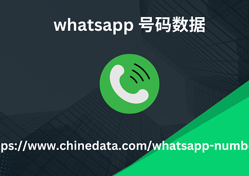 WhatsApp 号码数据